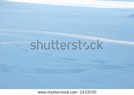 Patch of snow in a backyard, with footsteps, and slashes of sunlight
