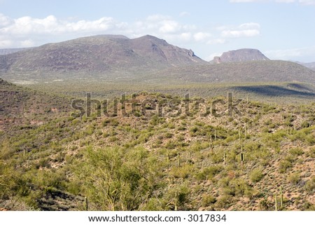 Color DSLR landscape picture of the barren open desert with cactus and mountains in background.  Near Phoenix Arizona.  Horizontal orientation with copy space for text