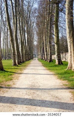 Path lined with trees on the grounds at the Palace of Versailles, France