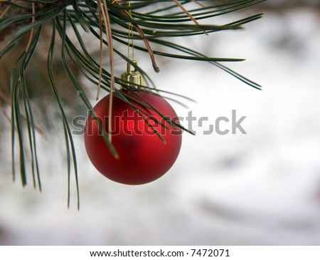 Red Christmas Ornament hanging in a pine tree, with white snow in the background