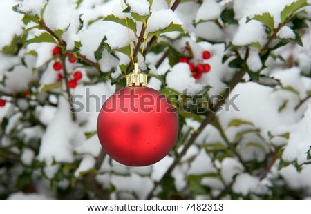 Color DSLR image of shiny, round red Christmas holiday ornament, hanging in a green holly bush with white winter snow on it. Horizontal with copy space for text.