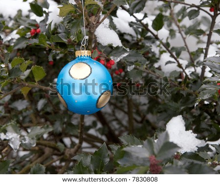 Blue Christmas Ornament, hanging in a holly bush with snow on it