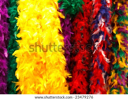 Multi-colored feather boas