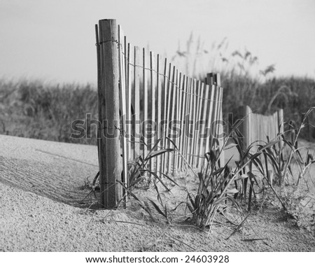 black and white beach photos. Beach Fence In Black And White