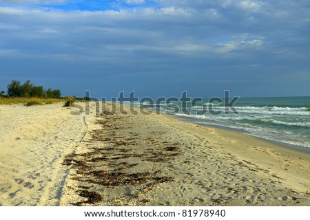 Gulf shore beach on Captiva Island, Florida; in horizontal orientation