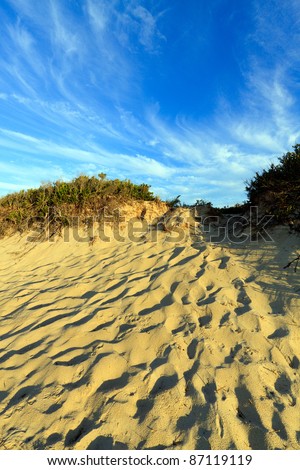 Color DSLR landscape picture of a sand dune lit by golden sunset on the shore in Cape Cod, Massachusetts, with a blue sky background. Vertical orientation with copy space for text