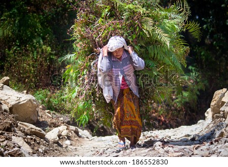 ANNAPURNA AREA, NEPAL - MARCH 26: Nepalese woman carrying heavy load  on the road on March 26, 2014 in Annapurna District, Nepal.