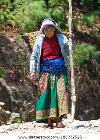 ANNAPURNA AREA, NEPAL - MARCH 26: Nepalese woman carrying heavy load  on the road on March 26, 2014 in Annapurna District, Nepal.