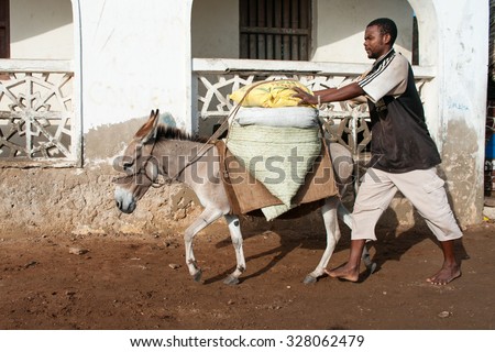 LAMU, KENYA - 19 JAN: Locals using a donkey for transport in Lamu on Jan 19, 2013.