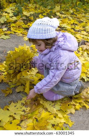 little girl collect maple leafs in the autumn  park