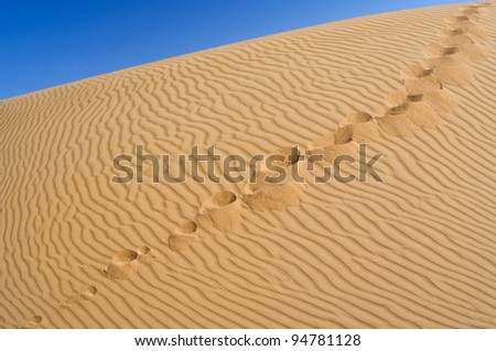 Human footprints on the yellow sand against the blue sky. Over horizon.