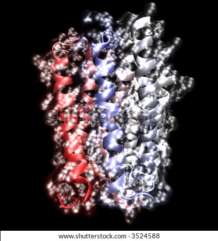 Molecular model of the protein, rhodospin, a protein involved in vision