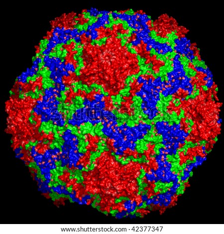 common cold virus. common cold virus particle