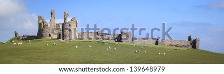 sheep grazing around the ruins of ancient Dunstanburgh castle on the northumberland coast of england