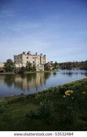 bright yellow spring daffodils on the banks of leeds castle moat in kent england