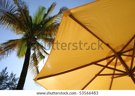 sun shade shielding bright tropical sun with palm tree overhead