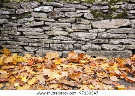 fallen autumn leaves lying on ground next to traditional dry stone wall in bilbury village in the cotswalds england