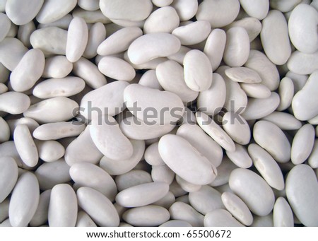 white beans close up background