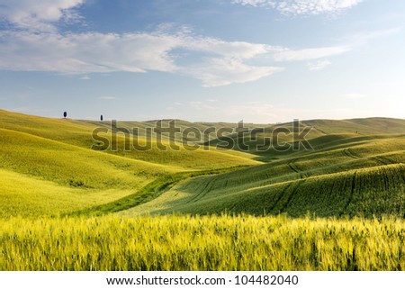 Wide view over the green rolling hills of the Tuscan countryside in Italy
