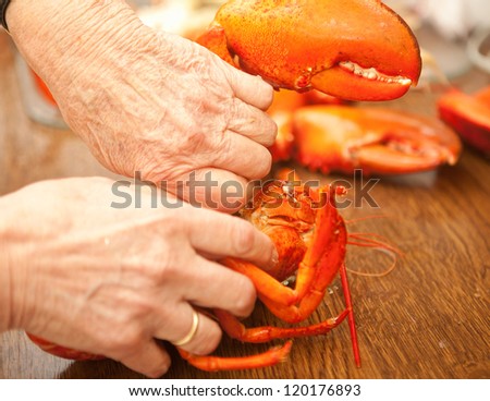 Hands cracking and cutting a cooked lobster in a restaurant
