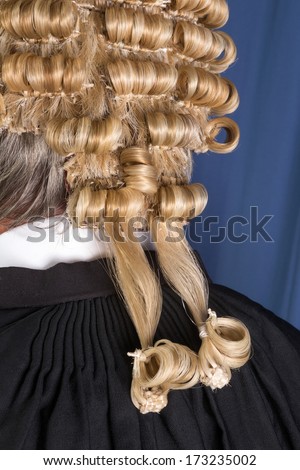 Back look of a lawyer wearing an authentic horsehair wig