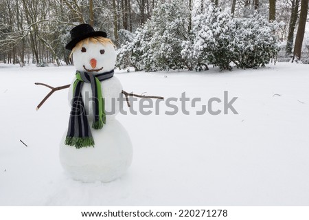 Happy snowman standing in the park wearing a hat