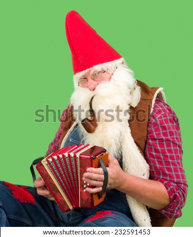 Funny garden gnome playing music on his accordion