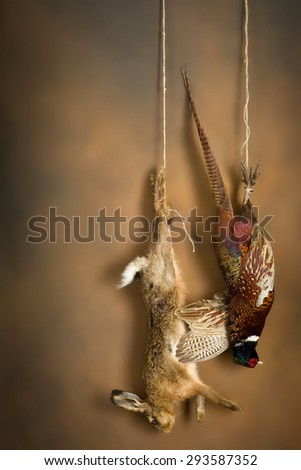 Hunting scene of a hanging pheasant and hare