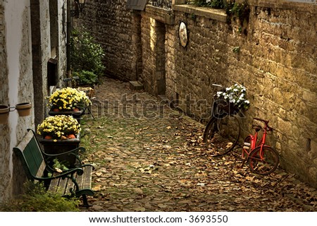 Little alley in autumn, with november flowers