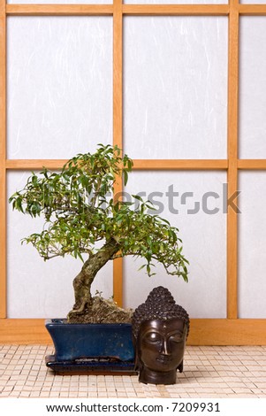 Bonsai tree and buddha head against a background of a japanese shoji sliding window