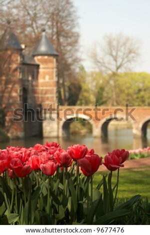 Patch of red tulips in the castle gardens of Groot Bijgaarden, Belgium