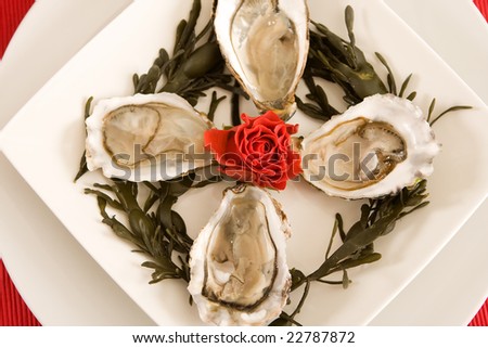 Luxury dish of oysters and a red rose