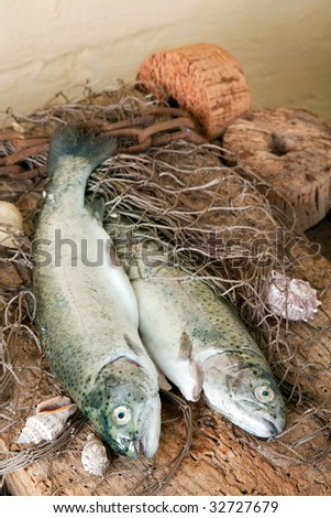 fishing nets full of fish. fishing nets and floaters