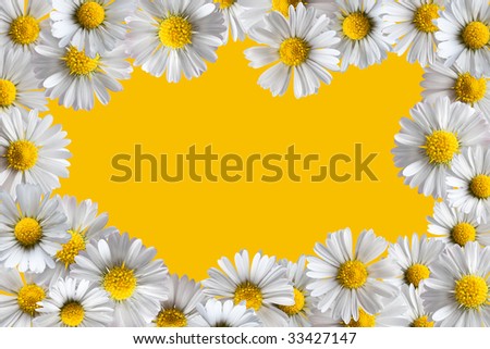 Border frame made of isolated daisy flowers