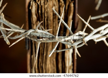 Detail of a crown of thorns hung on an antique bible book