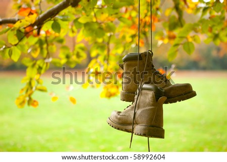 Old worn boots hanging on a tree in an autumn forest