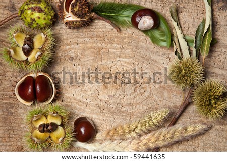 Decorative autumn border with chestnuts, and leaves