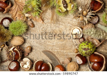Decorative autumn border with chestnuts, walnuts, hazelnuts, acorns and leaves