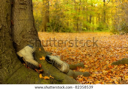 Old worn boots lying on a tree trunk in an autumn forest