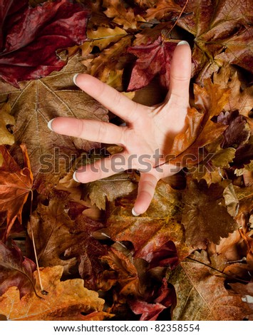 Desperate hand sinking in the ground covered with autumn leaves