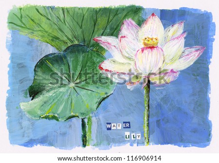 White water lily card