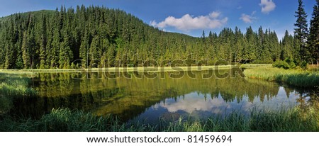 Marichaika lake among fir trees panorama. Carpathians. Ukraine