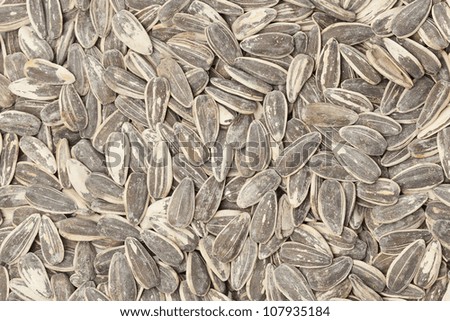 Large pile of Organic Roasted SunFlower Seeds