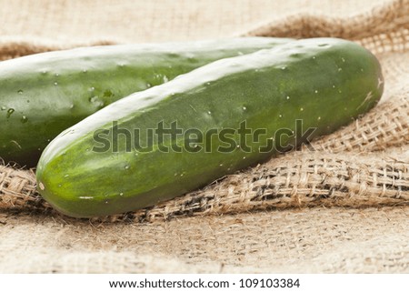 Fresh Organic Cucumber against a back ground