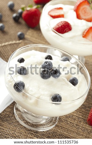 Fresh Organic Greek Yogurt with blueberries on a background