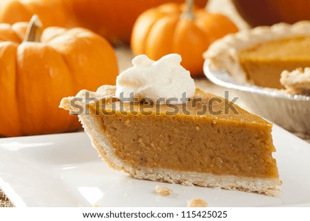 Fresh Homemade Pumpkin Pie made for Thanksgiving
