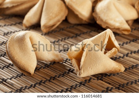 Fresh Made Fortune Cookie against a background