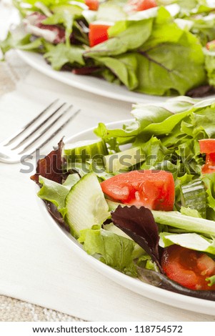 Fresh Green Organic Garden Salad on a background