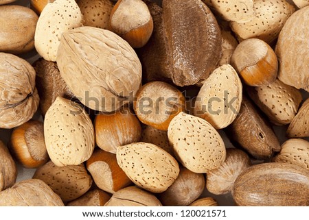 Fresh Organic Mixed Nuts including Walnuts, Almonds, Hazelnuts, Brazil Nuts
