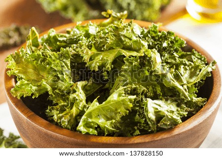 Homemade Organic Green Kale Chips with salt and oil